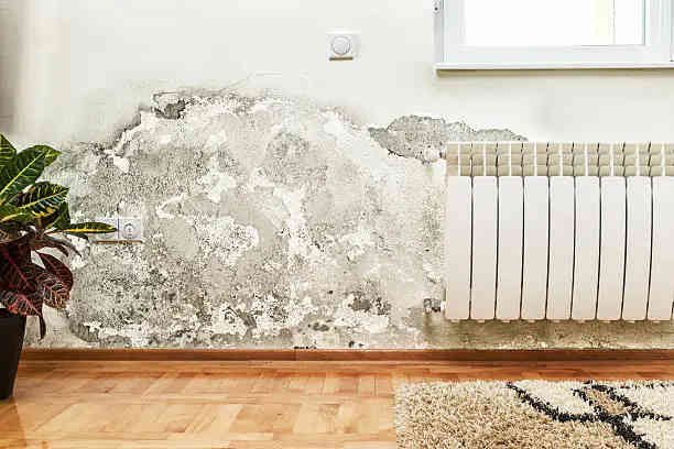 prevent damp in walls