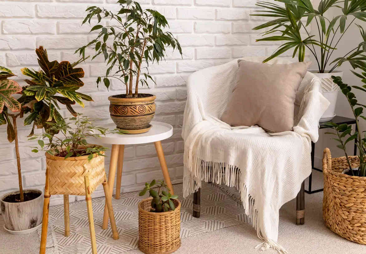 eco-friendly furniture for home