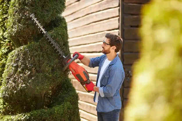 garden maintenance tools