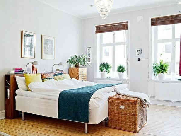 bedroom-plants-decor-tips