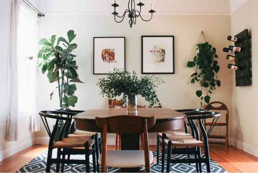 Dining Room Decor With Plants