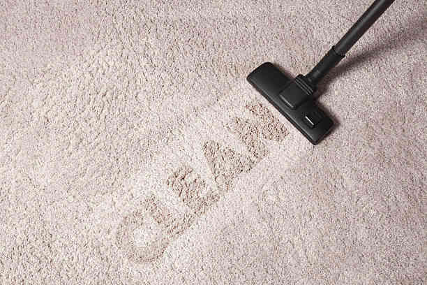 Clean Carpet Regularly, Section-Wise