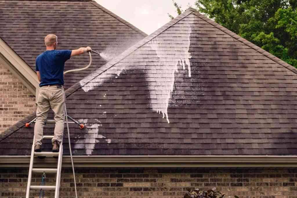 Regular Roof Cleaning