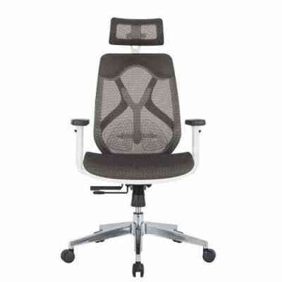 Spinal Grey Chair