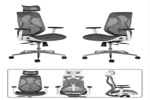 Spinal  Chair