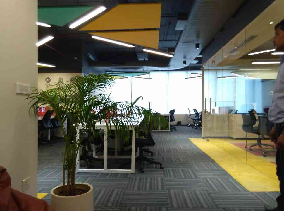 Office Workstations With Plant