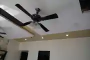 Ceiling Fan with Lights