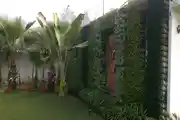 Vertical Home Garden Design