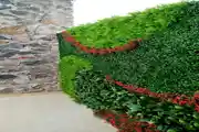 Stunning Vertical Garden Masterpiece Blending With Vibrant Greens 