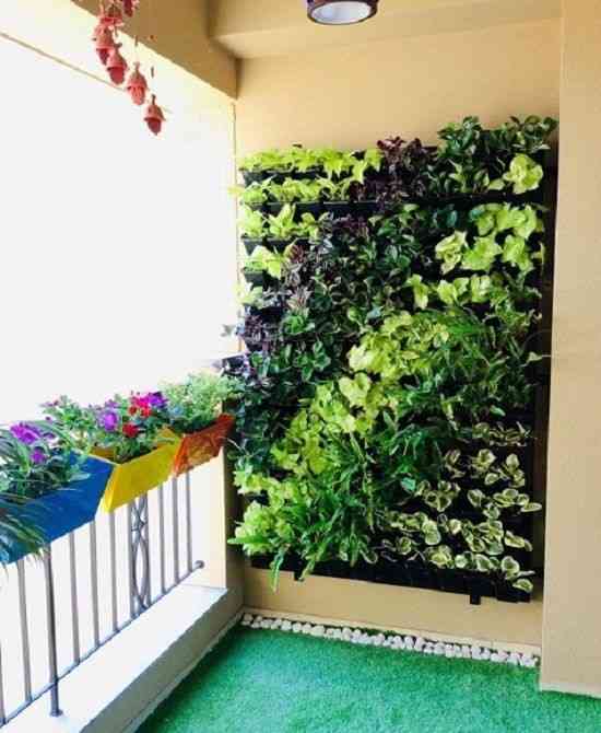 A Refreshing Balcony Garden Featuring A Vibrant Vertical Green Wall