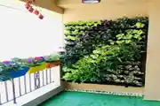 A Refreshing Balcony Garden Featuring A Vibrant Vertical Green Wall