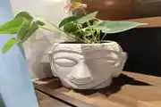 Serene Buddha Head Planter with Lush Greenery
