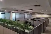 Modern Office Workspace With Cubicles, Natural Lighting, And Indoor Plants 