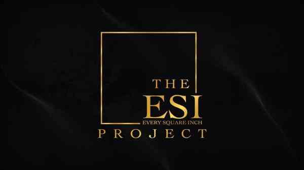 The ESI Project