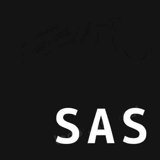 SAS Design