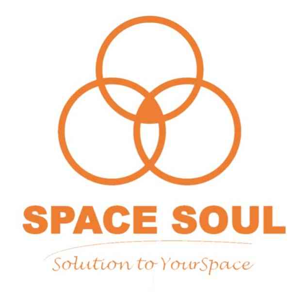 Space Soul