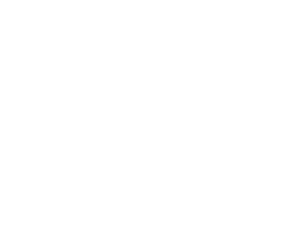 Vidhitsa Design Studio